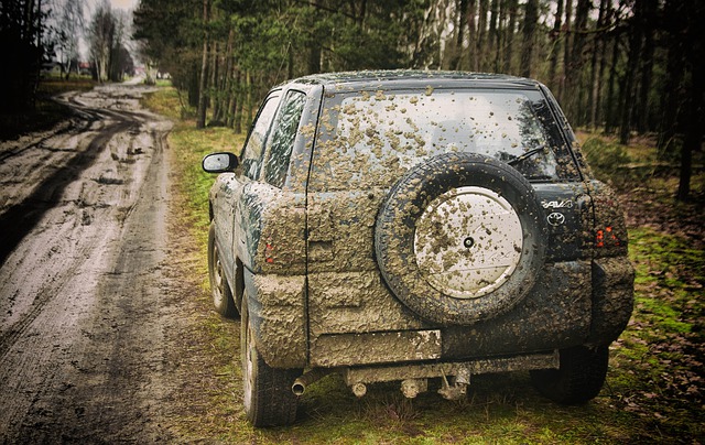 Scarica gratis l'immagine gratuita dell'auto 4x4 del campo della natura della vecchia auto da modificare con l'editor di immagini online gratuito di GIMP