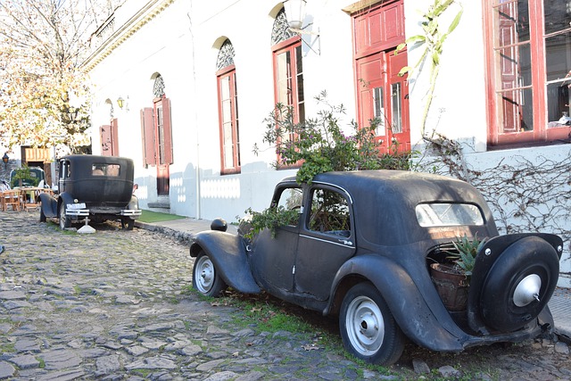 Free download old car nature plants flower free picture to be edited with GIMP free online image editor