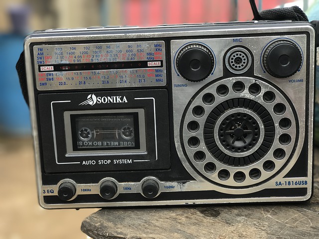 Free download old fm radio african gray radio free picture to be edited with GIMP free online image editor