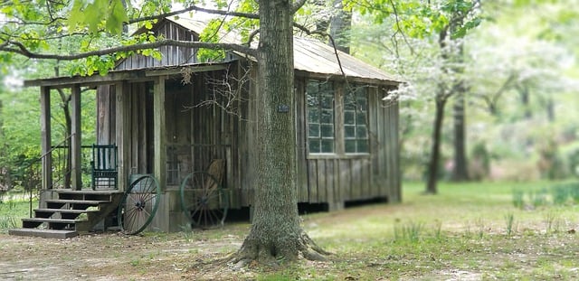 Free download old house forest woods outdoors free picture to be edited with GIMP free online image editor
