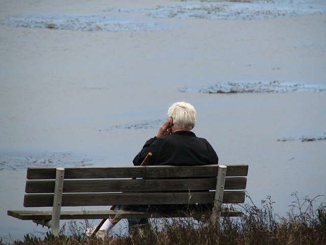 Free picture Old Man Bench Sitting -  to be edited by GIMP free image editor by OffiDocs