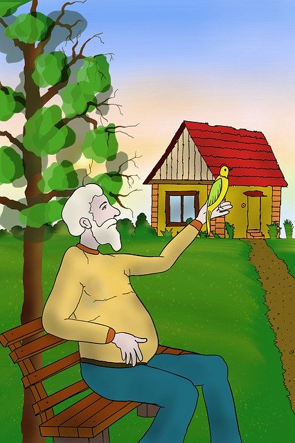 Free download Old Man Bird -  free illustration to be edited with GIMP free online image editor