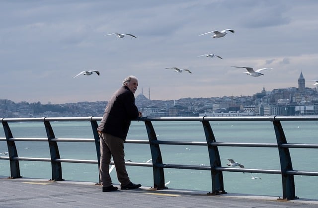 Free download old man sea seagulls man pier free picture to be edited with GIMP free online image editor