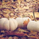 Old white pumpkin  screen for extension Chrome web store in OffiDocs Chromium