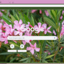Oleander  screen for extension Chrome web store in OffiDocs Chromium