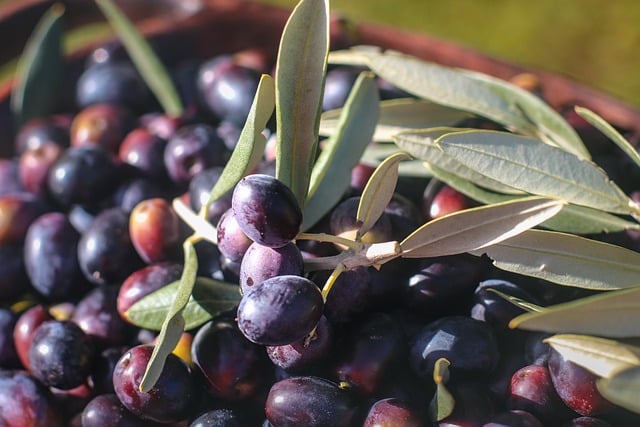 Free download olive dark olives organic olives free picture to be edited with GIMP free online image editor