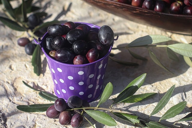 Free download olives fruit harvest dark olives free picture to be edited with GIMP free online image editor