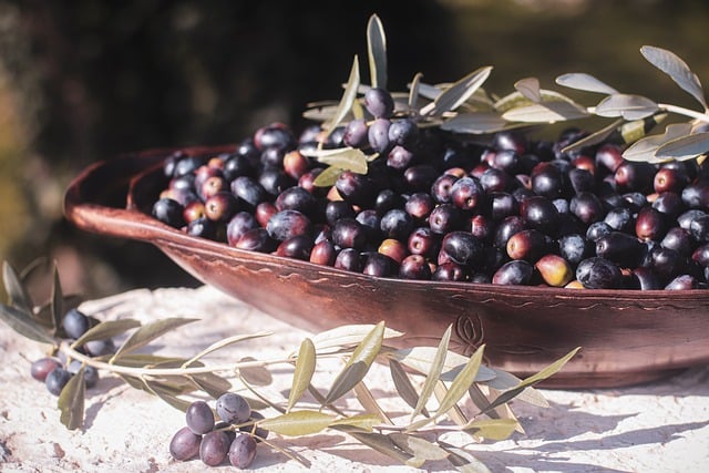 Free download olives fruit harvest food free picture to be edited with GIMP free online image editor