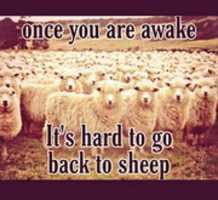 Free download onceyouareawake free photo or picture to be edited with GIMP online image editor