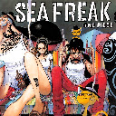 One Piece Franky Nico Robin Luffy Brook Anime Theme  screen for extension Chrome web store in OffiDocs Chromium