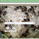 Ong Vo Ve  screen for extension Chrome web store in OffiDocs Chromium