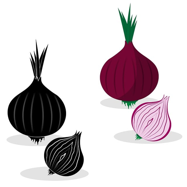 Free graphic onion food vegetable agriculture to be edited by GIMP free image editor by OffiDocs