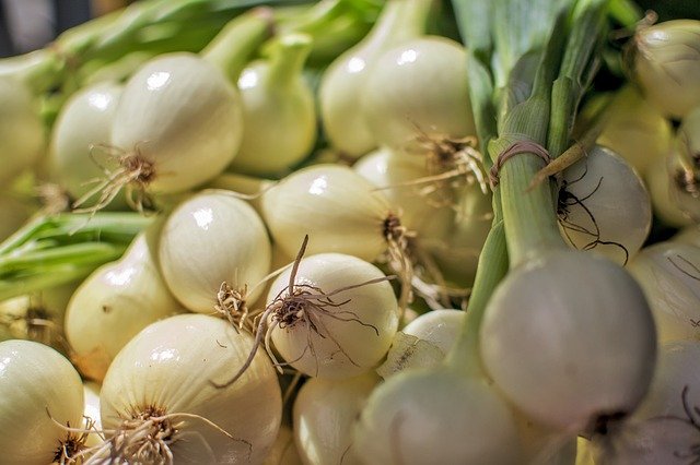 Free download onion garlic healthy health free picture to be edited with GIMP free online image editor