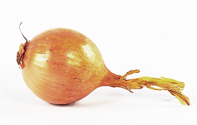 Free download Onion Resistance Natural A -  free photo or picture to be edited with GIMP online image editor