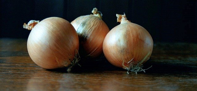 Template Photo Onions Food Vegetable -  for OffiDocs