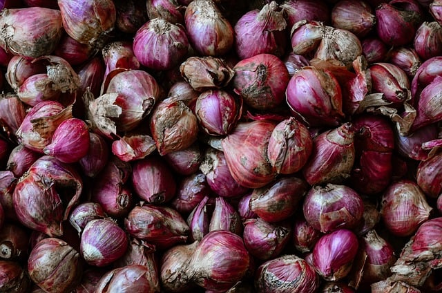 Free download onions healthy harvest vegetables free picture to be edited with GIMP free online image editor