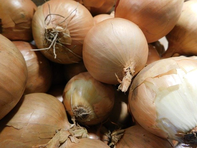 Free download Onions Kitchen Nutrition -  free photo or picture to be edited with GIMP online image editor