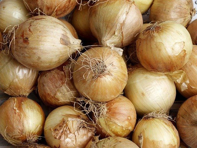Descarga gratuita Onions Onion Food - foto o imagen gratis y gratuita para editar con el editor de imágenes en línea GIMP