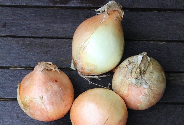 Free download Onions Vegetable Healthy -  free photo or picture to be edited with GIMP online image editor