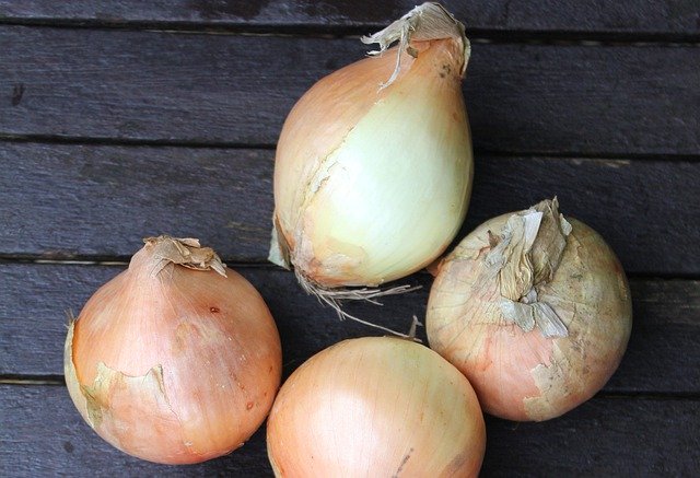 ดาวน์โหลดฟรี Onions Vegetable Healthy - ภาพถ่ายหรือรูปภาพฟรีที่จะแก้ไขด้วยโปรแกรมแก้ไขรูปภาพออนไลน์ GIMP