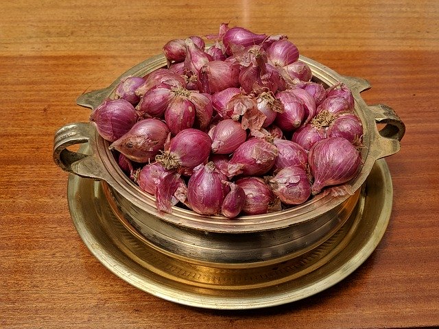 تنزيل Onion Vegetable Bronze مجانًا - صورة مجانية أو صورة مجانية ليتم تحريرها باستخدام محرر الصور عبر الإنترنت GIMP