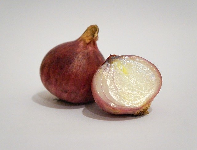 Download grátis Onion Vegetable Food - foto grátis ou imagem para ser editada com o editor de imagens online GIMP