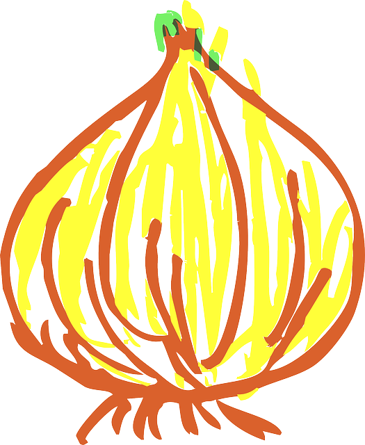 Free download Onion Vegetable - Free vector graphic on Pixabay free illustration to be edited with GIMP free online image editor