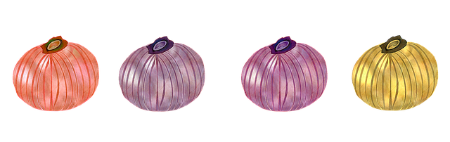 Free download Onion Vegetable Market -  free illustration to be edited with GIMP free online image editor