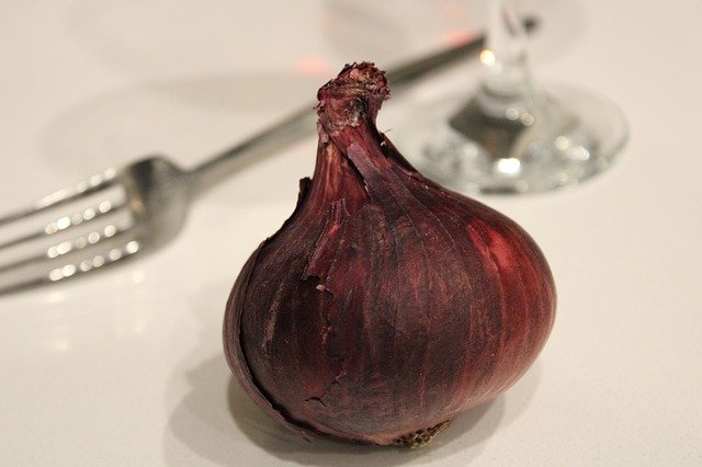 تنزيل Onion Wine Glass مجانًا - صورة أو صورة مجانية ليتم تحريرها باستخدام محرر الصور عبر الإنترنت GIMP