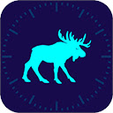 oost.app  screen for extension Chrome web store in OffiDocs Chromium