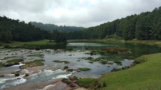 Descărcare gratuită Ooty India Amazing Nature - fotografie sau imagini gratuite pentru a fi editate cu editorul de imagini online GIMP