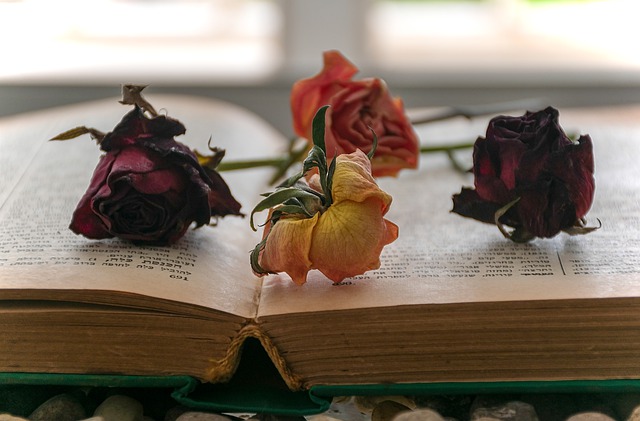 Free download open book dried roses bookworm free picture to be edited with GIMP free online image editor