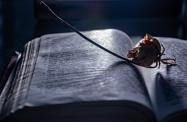 Free download open book flower nostalgia mood free picture to be edited with GIMP free online image editor