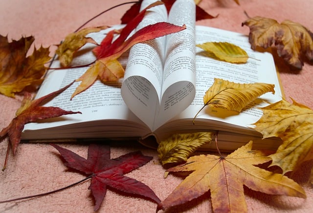 Free download open book heart leaves autumn free picture to be edited with GIMP free online image editor