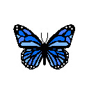 OpenMonarch  screen for extension Chrome web store in OffiDocs Chromium