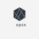 Opsx  screen for extension Chrome web store in OffiDocs Chromium