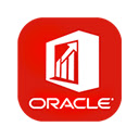 Oracle Smart View for Office  screen for extension Chrome web store in OffiDocs Chromium
