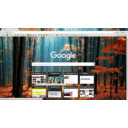 Orange Forest  screen for extension Chrome web store in OffiDocs Chromium