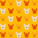 Orange Frenchie Puppies  screen for extension Chrome web store in OffiDocs Chromium