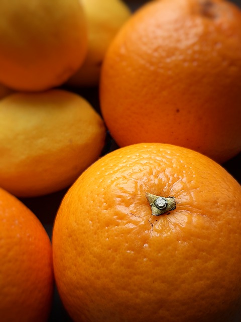 Free download orange fruit citrus organic diet free picture to be edited with GIMP free online image editor