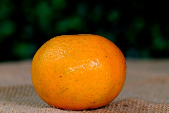 Free download orange fruit fresh healthy fruit free picture to be edited with GIMP free online image editor
