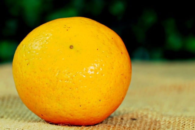 Free download orange fruit fresh ripe organic free picture to be edited with GIMP free online image editor