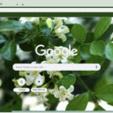 Orange Jessamine  screen for extension Chrome web store in OffiDocs Chromium