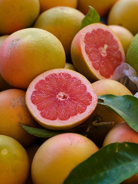 Free download orange mandarin citrus grapefruit free picture to be edited with GIMP free online image editor