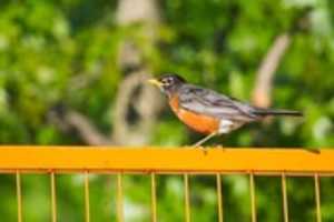 Free download Orange on Orange free photo or picture to be edited with GIMP online image editor