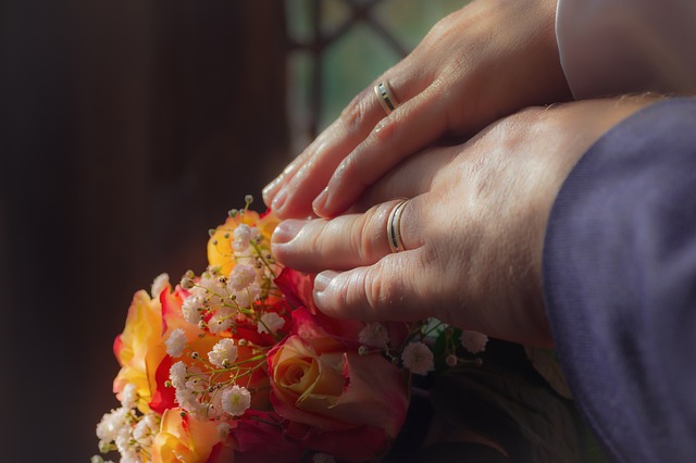 जीआईएमपी मुफ्त ऑनलाइन छवि संपादक के साथ संपादित की जाने वाली मुफ्त तस्वीर से शादी करने के लिए नारंगी शुतुरमुर्ग के छल्ले मुफ्त डाउनलोड करें