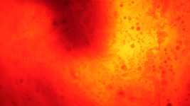 Free download Orange Red Paint -  free video to be edited with OpenShot online video editor