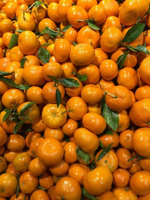 הורדה חינם Oranges Citrus Orange - תמונה או תמונה בחינם לעריכה עם עורך התמונות המקוון GIMP