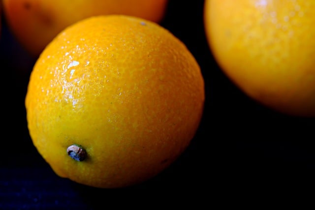 Free download oranges fruits citrus fruits free picture to be edited with GIMP free online image editor