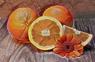 Free download Oranges free photo or picture to be edited with GIMP online image editor